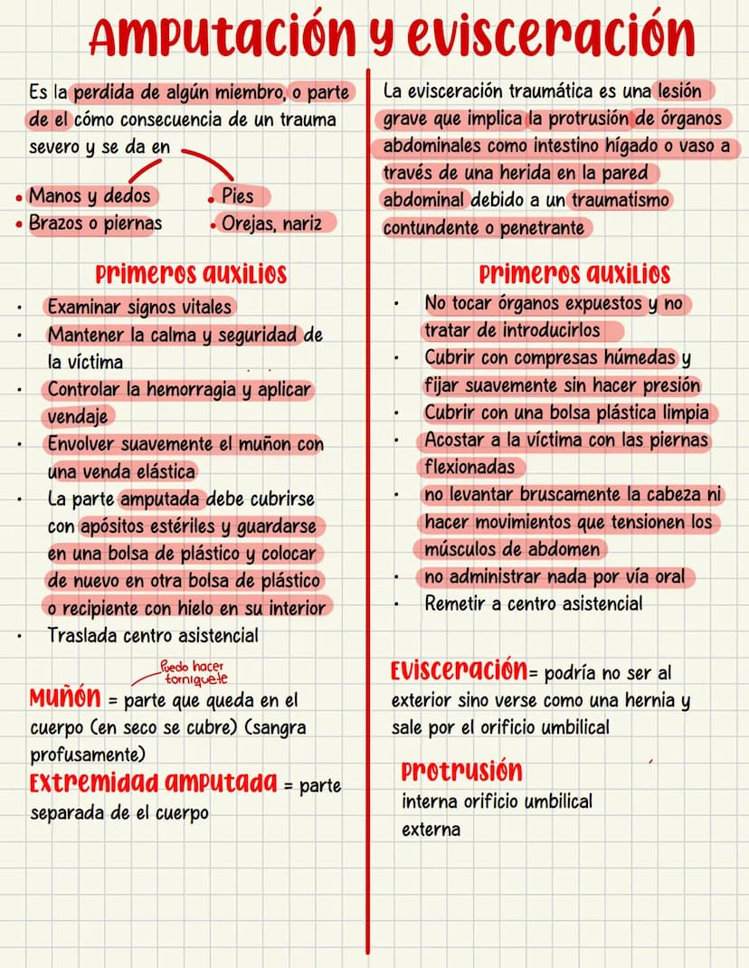 PRIMEROS
AUXILIOS Primeros auxILIOS
Los primeros auxilios son muy importantes, ya que de los
primeros minutos dependerá el pronóstico de la 