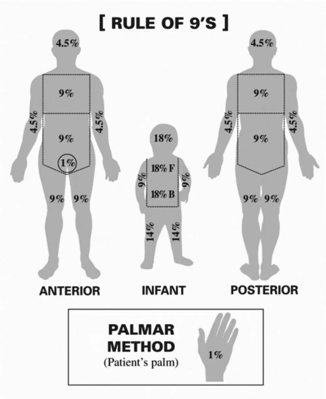 PRIMEROS
AUXILIOS Primeros auxILIOS
Los primeros auxilios son muy importantes, ya que de los
primeros minutos dependerá el pronóstico de la 