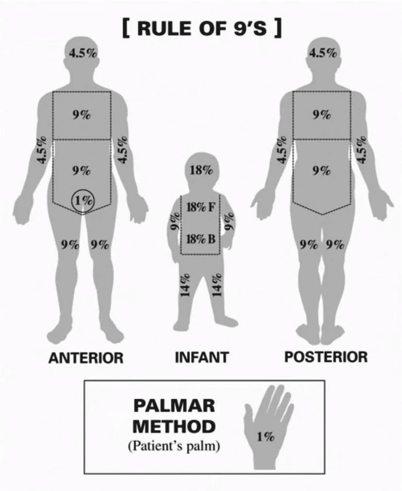 PRIMEROS
AUXILIOS Primeros auxILIOS
Los primeros auxilios son muy importantes, ya que de los
primeros minutos dependerá el pronóstico de la 