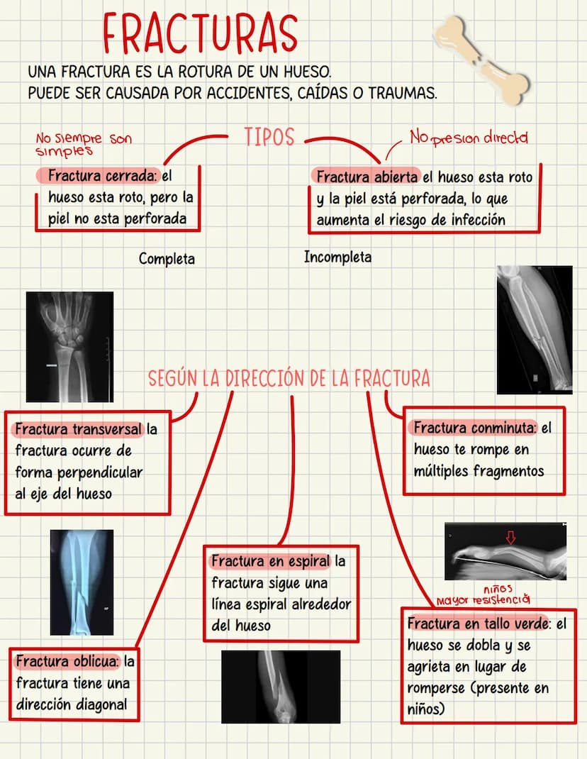 PRIMEROS
AUXILIOS Primeros auxILIOS
Los primeros auxilios son muy importantes, ya que de los
primeros minutos dependerá el pronóstico de la 