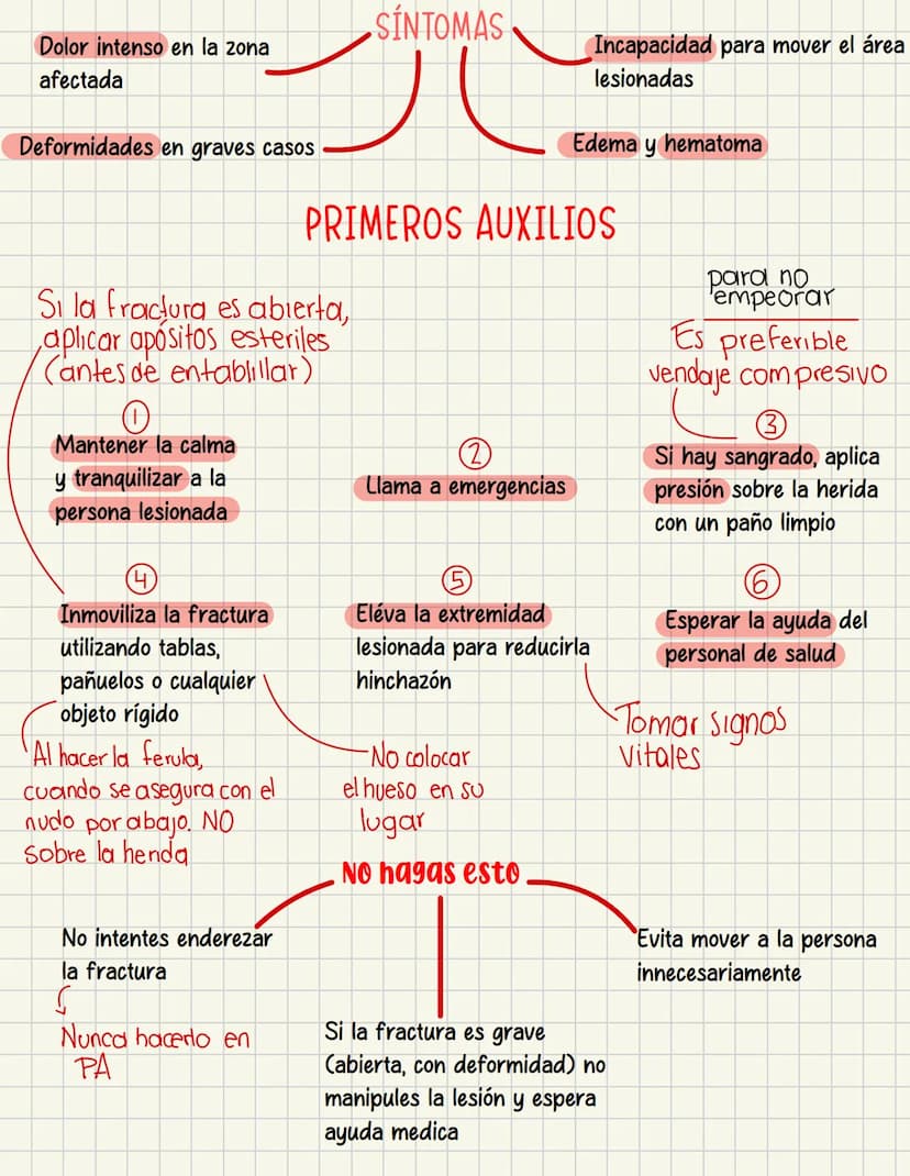 PRIMEROS
AUXILIOS Primeros auxILIOS
Los primeros auxilios son muy importantes, ya que de los
primeros minutos dependerá el pronóstico de la 