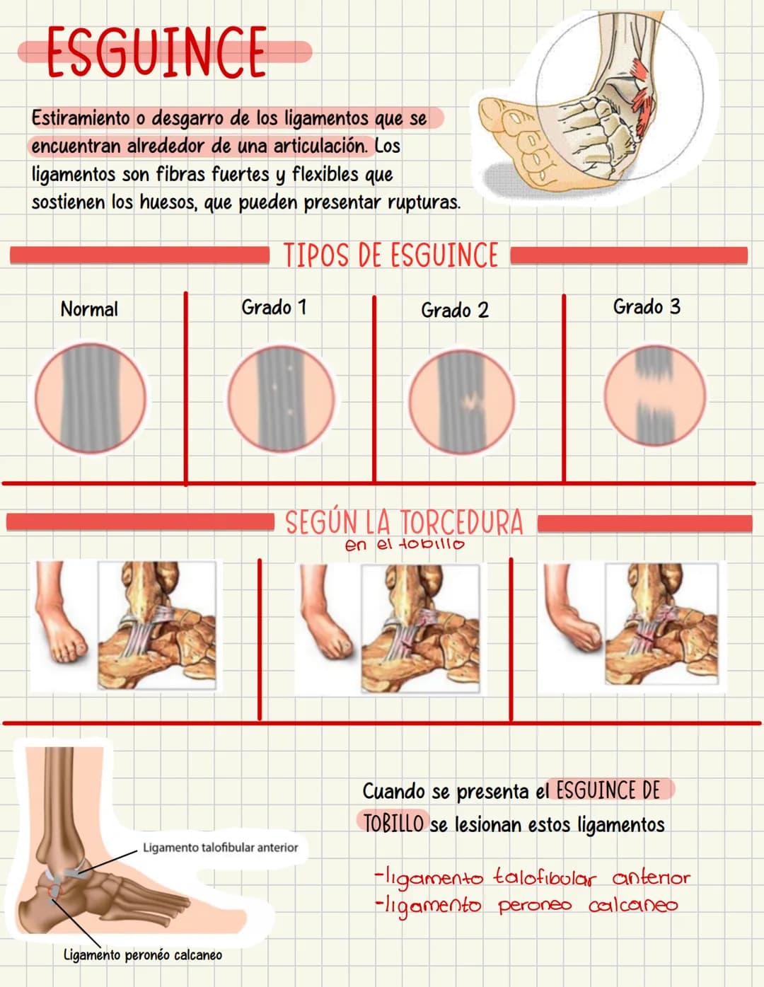 PRIMEROS
AUXILIOS Primeros auxILIOS
Los primeros auxilios son muy importantes, ya que de los
primeros minutos dependerá el pronóstico de la 