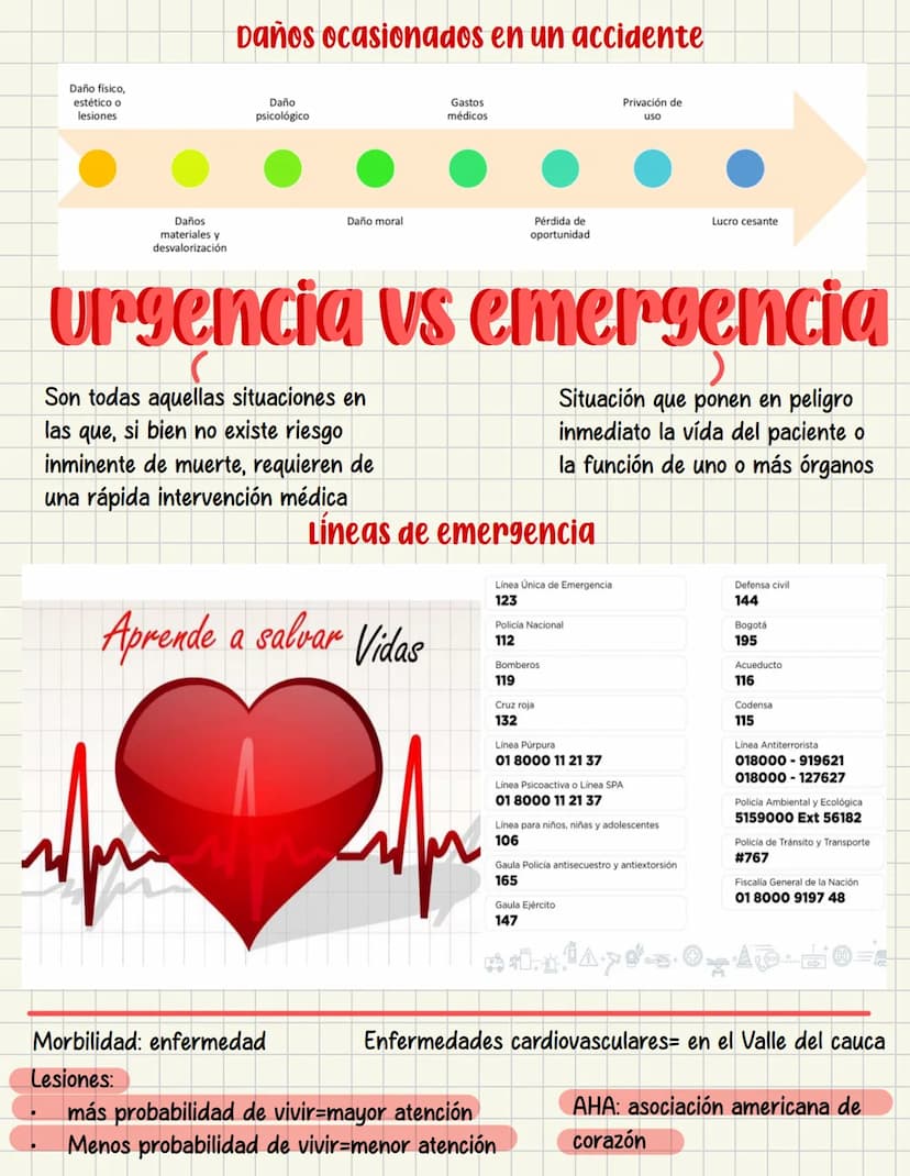 PRIMEROS
AUXILIOS Primeros auxILIOS
Los primeros auxilios son muy importantes, ya que de los
primeros minutos dependerá el pronóstico de la 