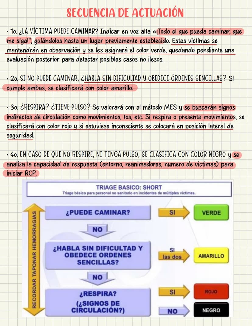 PRIMEROS
AUXILIOS Primeros auxILIOS
Los primeros auxilios son muy importantes, ya que de los
primeros minutos dependerá el pronóstico de la 