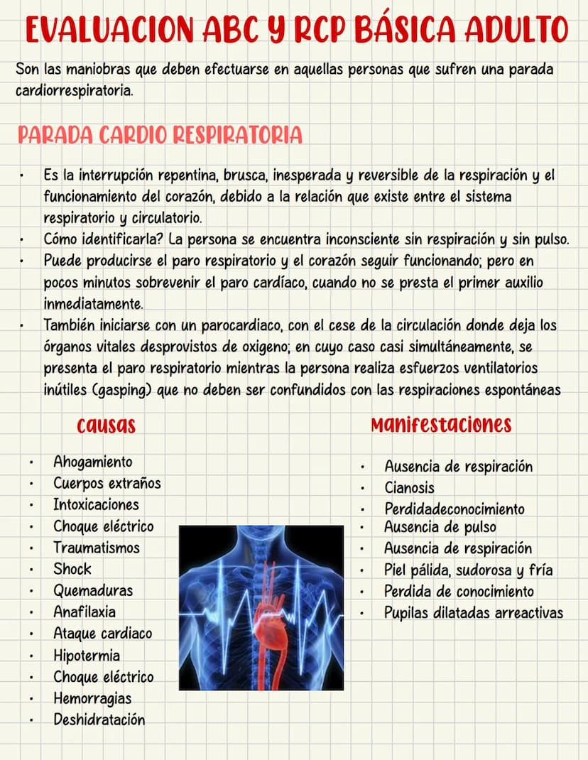 PRIMEROS
AUXILIOS Primeros auxILIOS
Los primeros auxilios son muy importantes, ya que de los
primeros minutos dependerá el pronóstico de la 