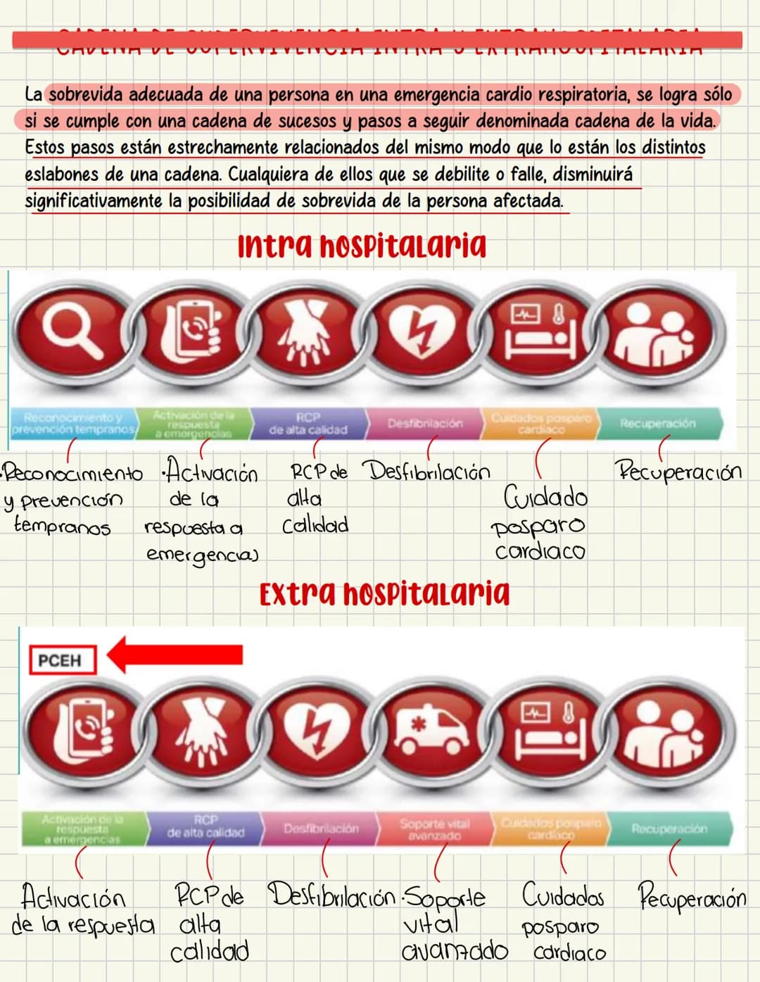 PRIMEROS
AUXILIOS Primeros auxILIOS
Los primeros auxilios son muy importantes, ya que de los
primeros minutos dependerá el pronóstico de la 