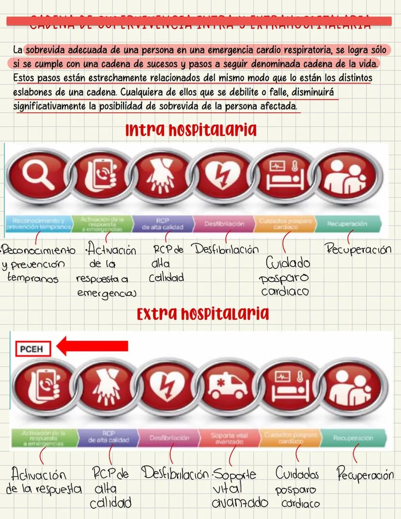 PRIMEROS
AUXILIOS Primeros auxILIOS
Los primeros auxilios son muy importantes, ya que de los
primeros minutos dependerá el pronóstico de la 