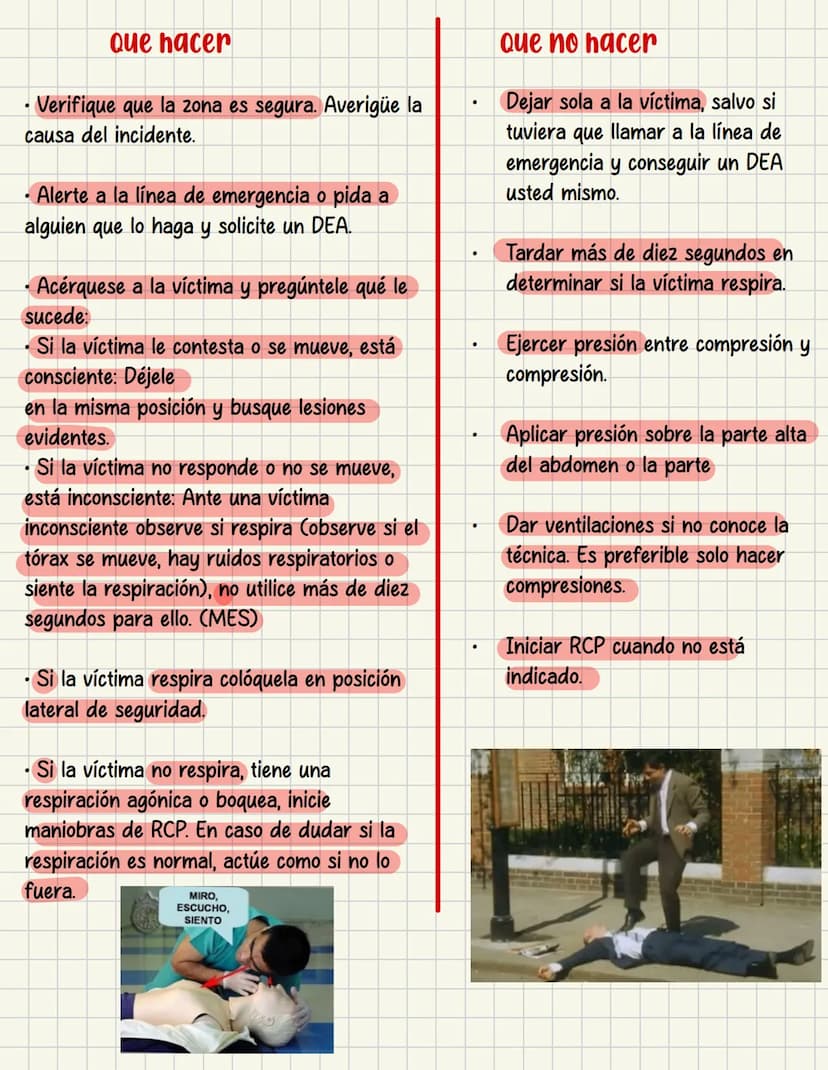 PRIMEROS
AUXILIOS Primeros auxILIOS
Los primeros auxilios son muy importantes, ya que de los
primeros minutos dependerá el pronóstico de la 