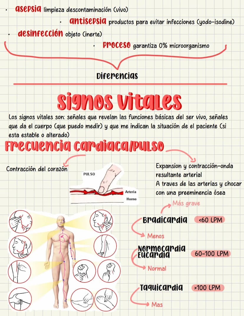 PRIMEROS
AUXILIOS Primeros auxILIOS
Los primeros auxilios son muy importantes, ya que de los
primeros minutos dependerá el pronóstico de la 