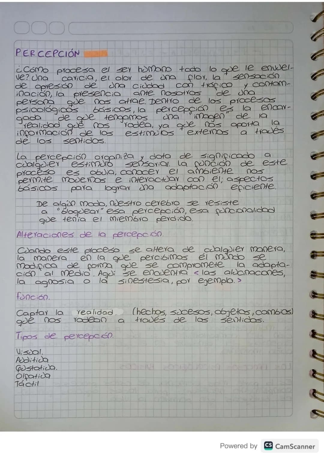 PERCEPCIÓN
¿Cómo procesa el ser humano todo lo que le envuel-
de
de una
flor, la
sensación
ve? Una caricia, el olor
de apresión
una ciudad c
