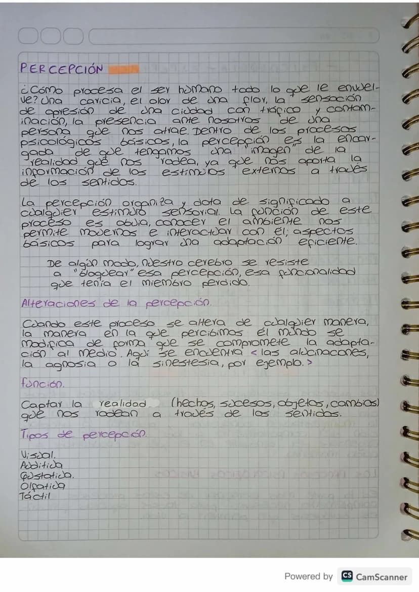 PERCEPCIÓN
¿Cómo procesa el ser humano todo lo que le envuel-
de
de una
flor, la
sensación
ve? Una caricia, el olor
de apresión
una ciudad c