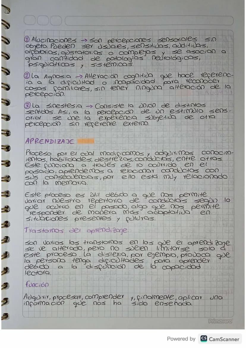 PERCEPCIÓN
¿Cómo procesa el ser humano todo lo que le envuel-
de
de una
flor, la
sensación
ve? Una caricia, el olor
de apresión
una ciudad c