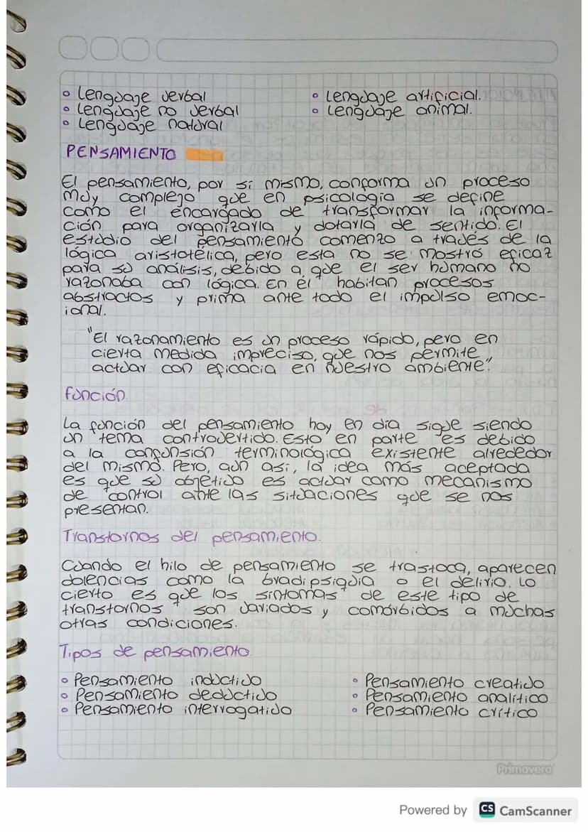 PERCEPCIÓN
¿Cómo procesa el ser humano todo lo que le envuel-
de
de una
flor, la
sensación
ve? Una caricia, el olor
de apresión
una ciudad c