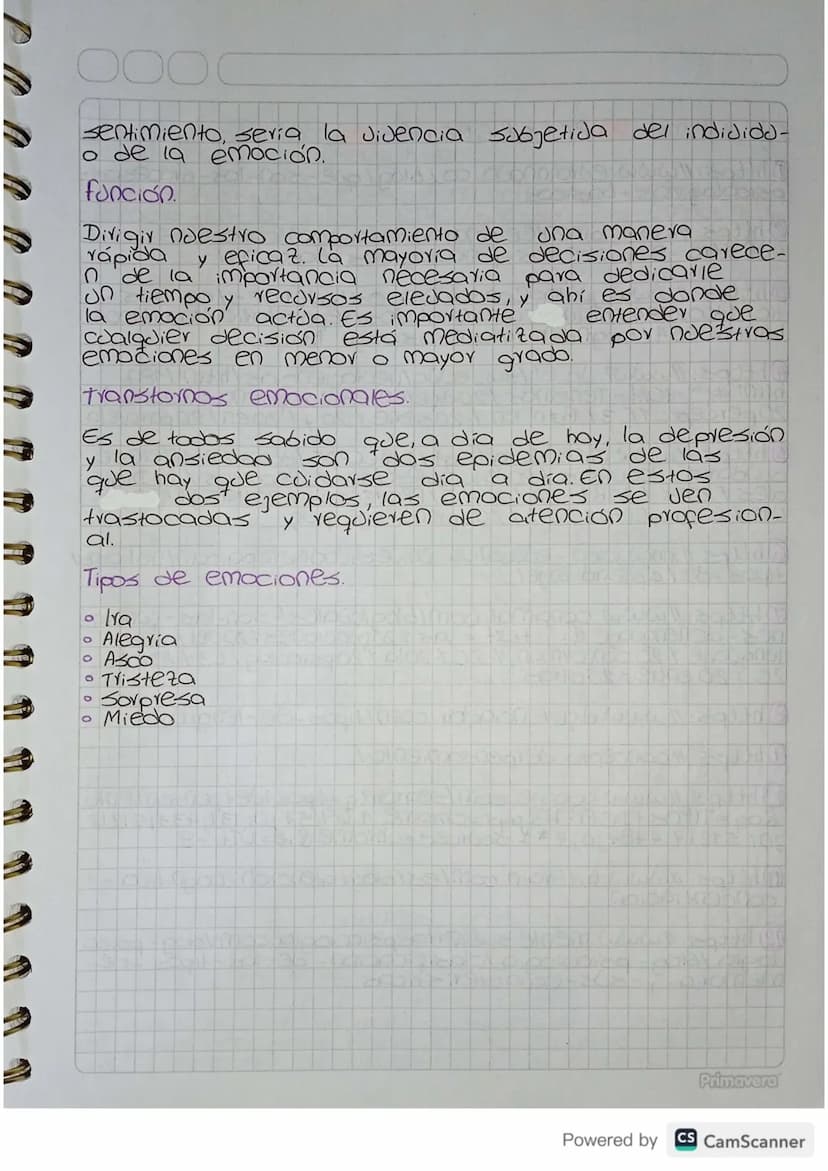 PERCEPCIÓN
¿Cómo procesa el ser humano todo lo que le envuel-
de
de una
flor, la
sensación
ve? Una caricia, el olor
de apresión
una ciudad c