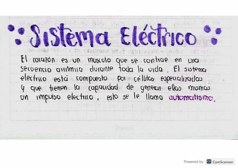 •: Sistema Eléctrico":
bd p
El corazón es un musculo que se contrae en una
Secvencio arritmia durante toda la vida. El sistema
electrico est