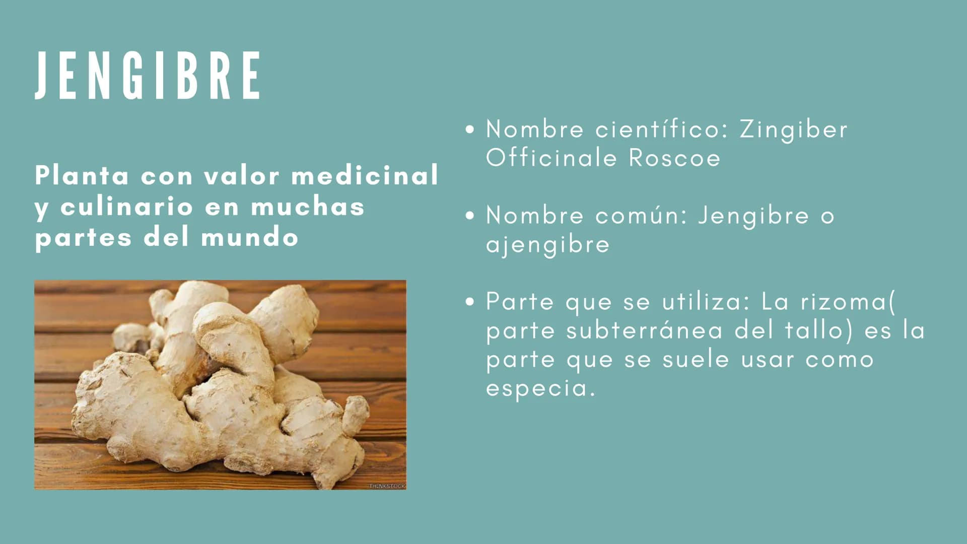 JENGIBRE
Planta con valor medicinal
y
culinario en muchas
partes del mundo
Nombre científico: Zingiber
Officinale Roscoe
• Nombre común: Jen