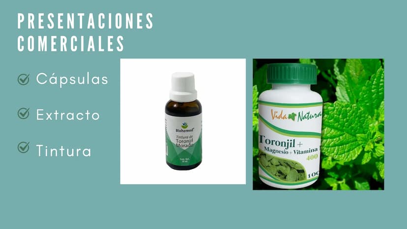 JENGIBRE
Planta con valor medicinal
y
culinario en muchas
partes del mundo
Nombre científico: Zingiber
Officinale Roscoe
• Nombre común: Jen
