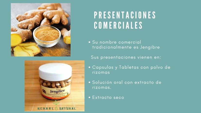 JENGIBRE
Planta con valor medicinal
y
culinario en muchas
partes del mundo
Nombre científico: Zingiber
Officinale Roscoe
• Nombre común: Jen