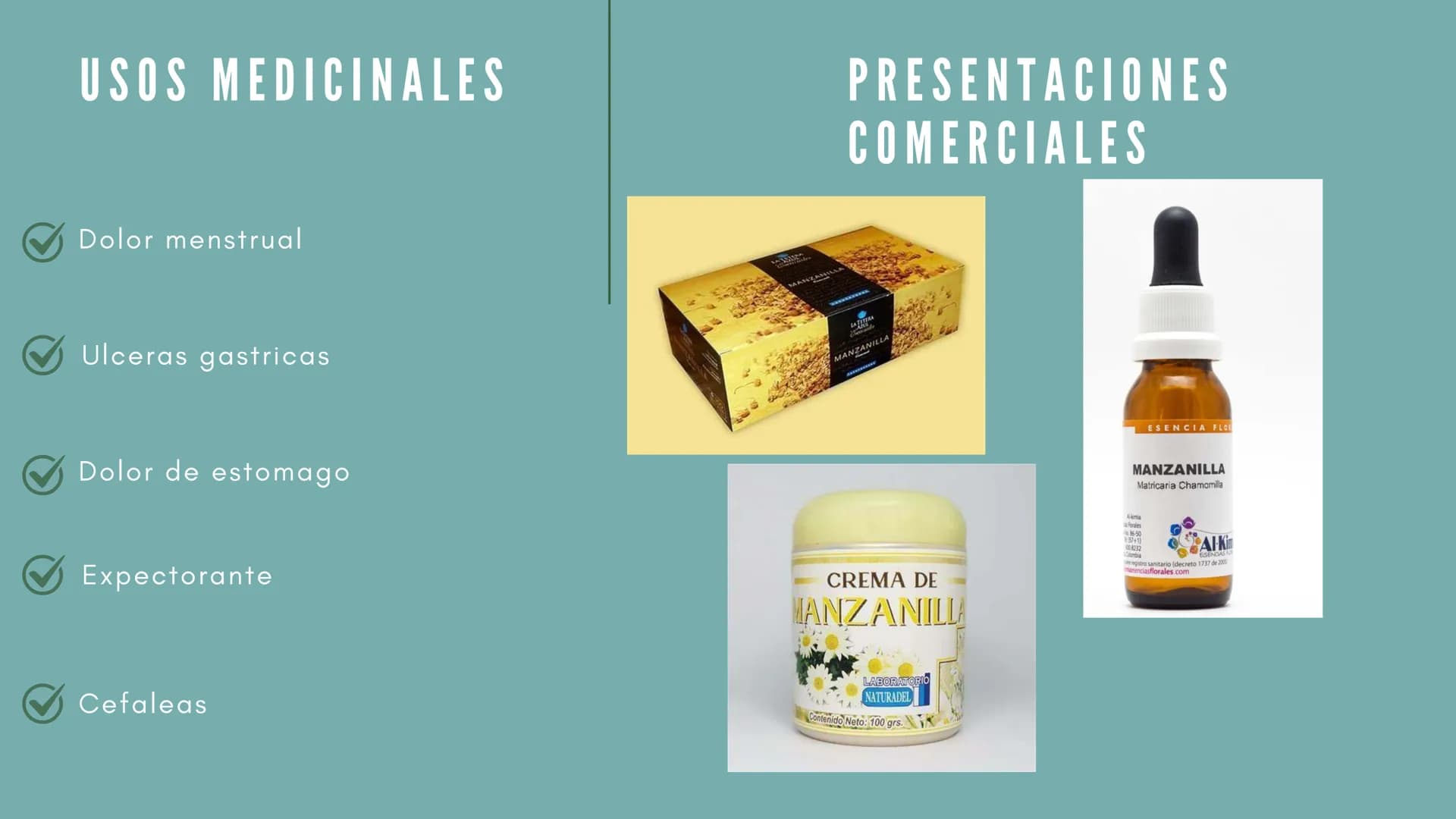 JENGIBRE
Planta con valor medicinal
y
culinario en muchas
partes del mundo
Nombre científico: Zingiber
Officinale Roscoe
• Nombre común: Jen