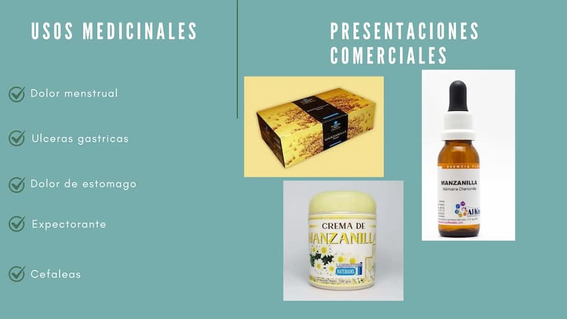 JENGIBRE
Planta con valor medicinal
y
culinario en muchas
partes del mundo
Nombre científico: Zingiber
Officinale Roscoe
• Nombre común: Jen