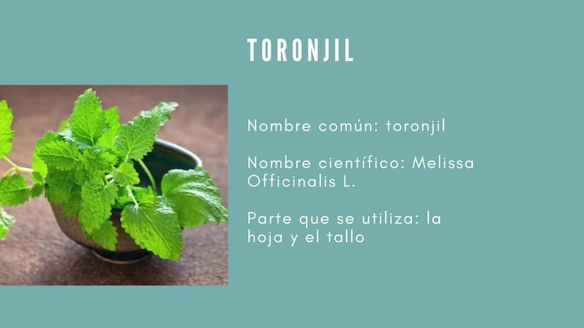 JENGIBRE
Planta con valor medicinal
y
culinario en muchas
partes del mundo
Nombre científico: Zingiber
Officinale Roscoe
• Nombre común: Jen