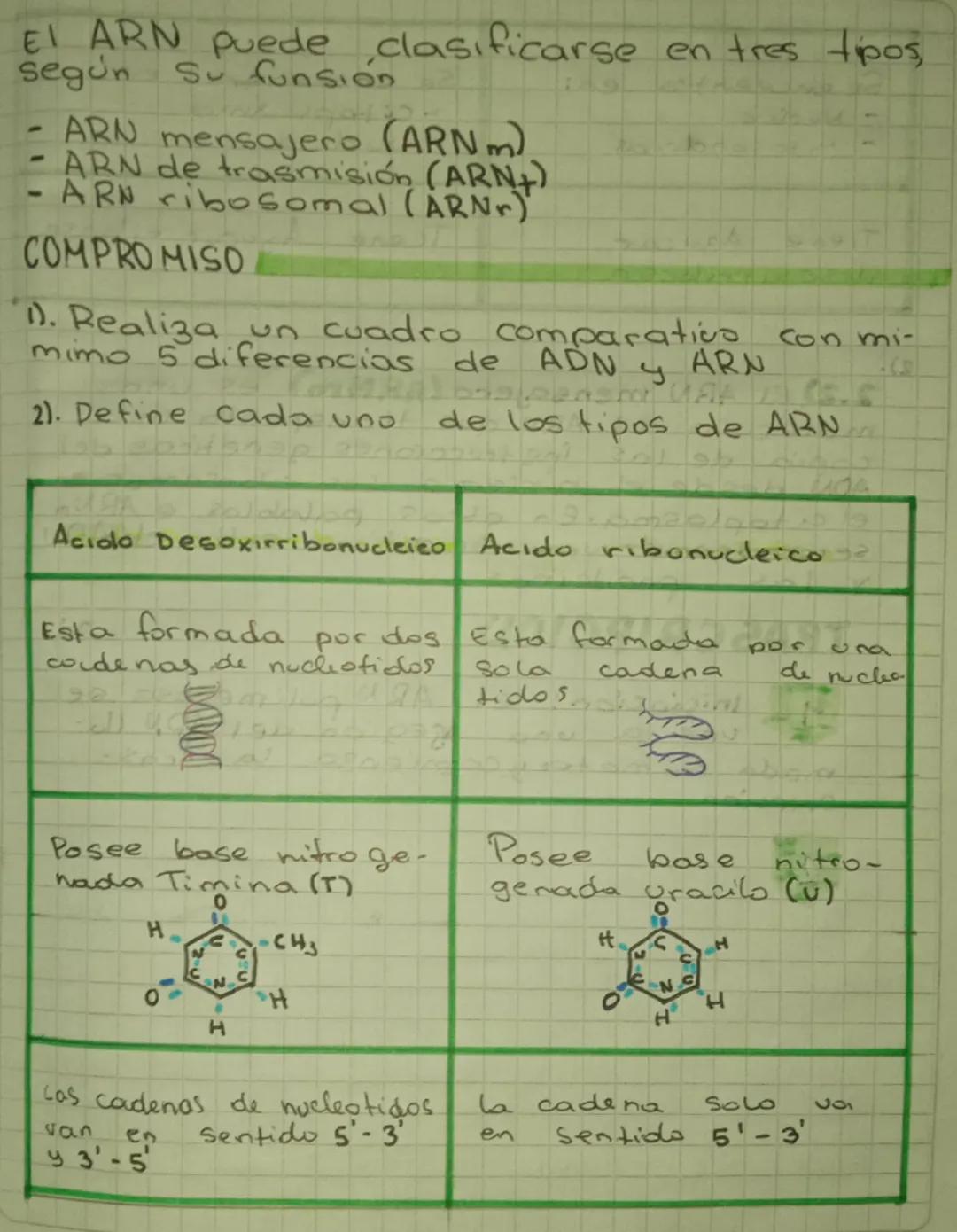 acidos
nucleicos
los acidos nucleicos son acido deso
xirribonucleico (ADN) y el acido ri-
bunucleico (ARN)
Son dos moleculas de gran tama-
n
