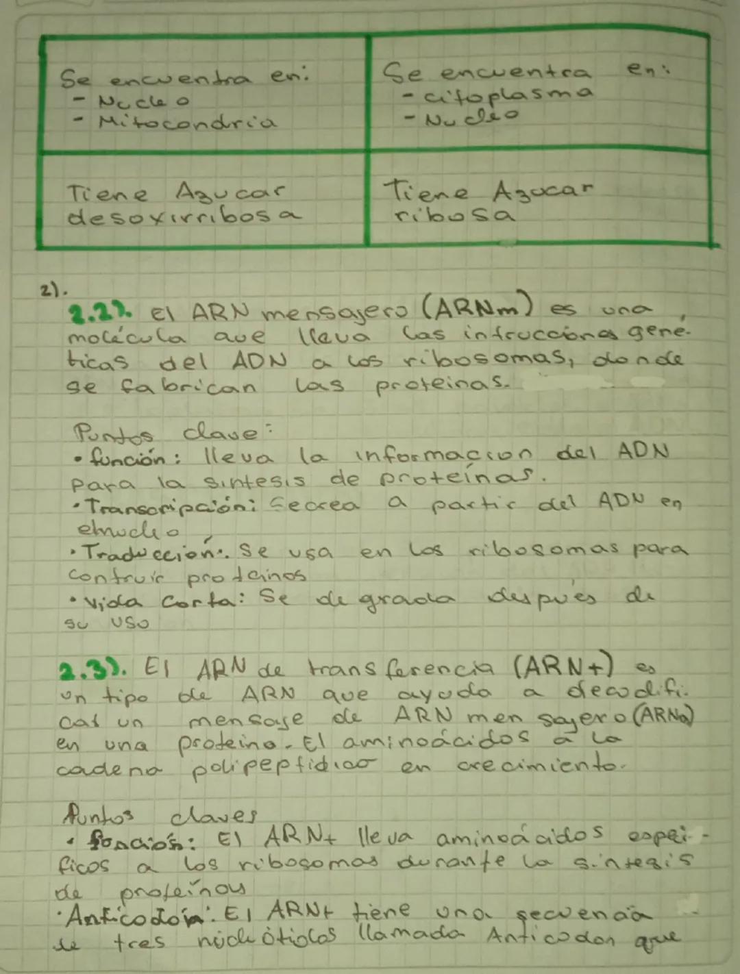 acidos
nucleicos
los acidos nucleicos son acido deso
xirribonucleico (ADN) y el acido ri-
bunucleico (ARN)
Son dos moleculas de gran tama-
n