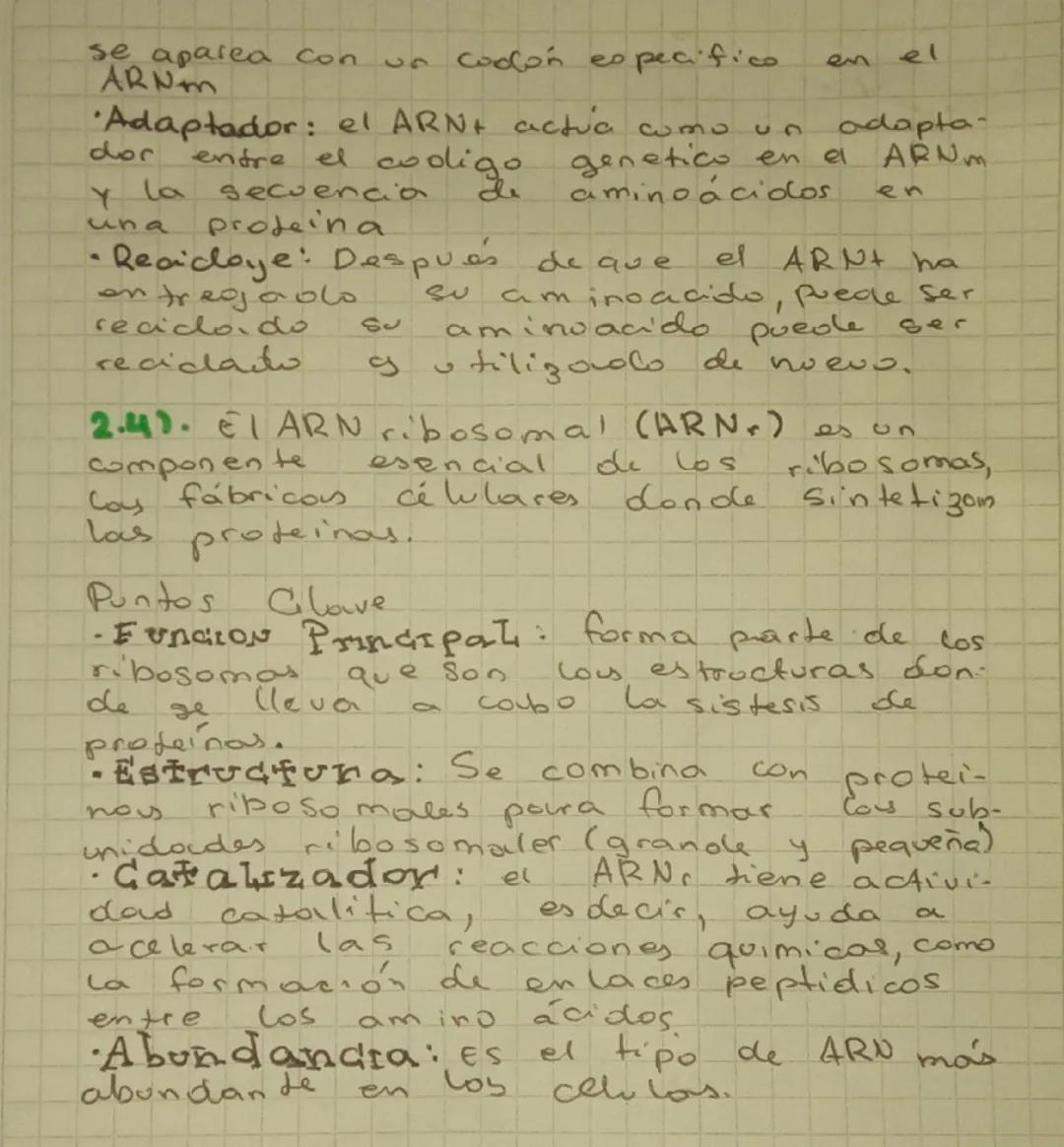 acidos
nucleicos
los acidos nucleicos son acido deso
xirribonucleico (ADN) y el acido ri-
bunucleico (ARN)
Son dos moleculas de gran tama-
n