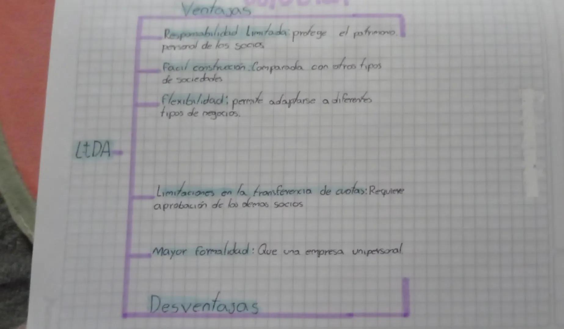 LEDA

Ventajas

Respamabilidad Limitada protege el patrimonio.
personal de los socios

Facil construcción: Comparada con otros tipos
de soci