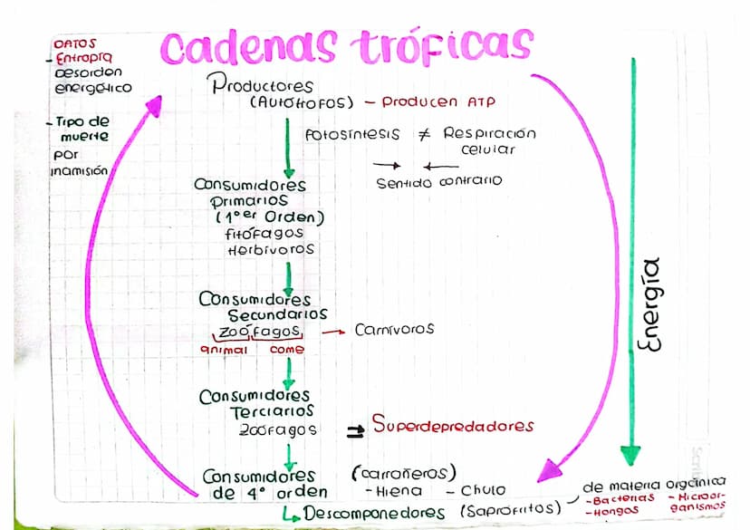 DATOS
-Entropia
Desorden
energético
Tipo de
muerte
Por
inamisión
cadenas tróficas
Productores
(AUTOHO FOS) - Producen ATP
Fotosintesis # Res