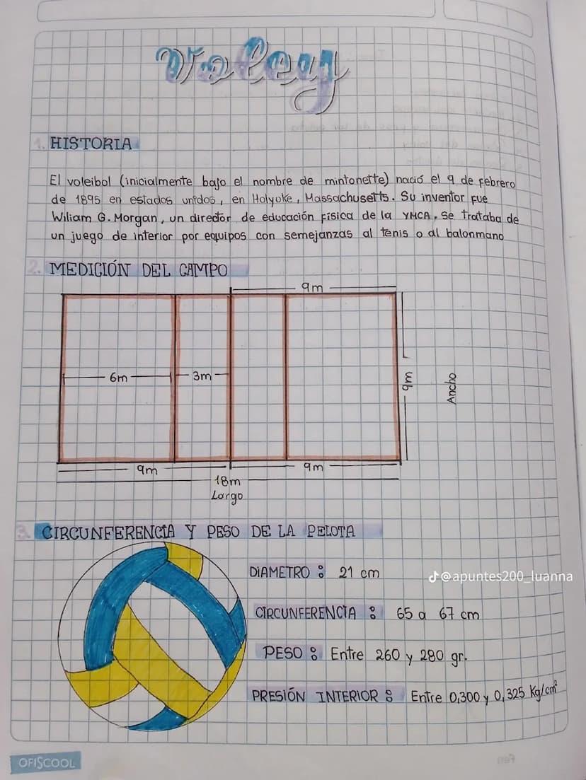 Velay
HISTORIA
El voleibol (inicialmente bajo el nombre de mintonette) nació el 9 de febrero
de 1895 en estados unidos, en Holyoke, Massachu