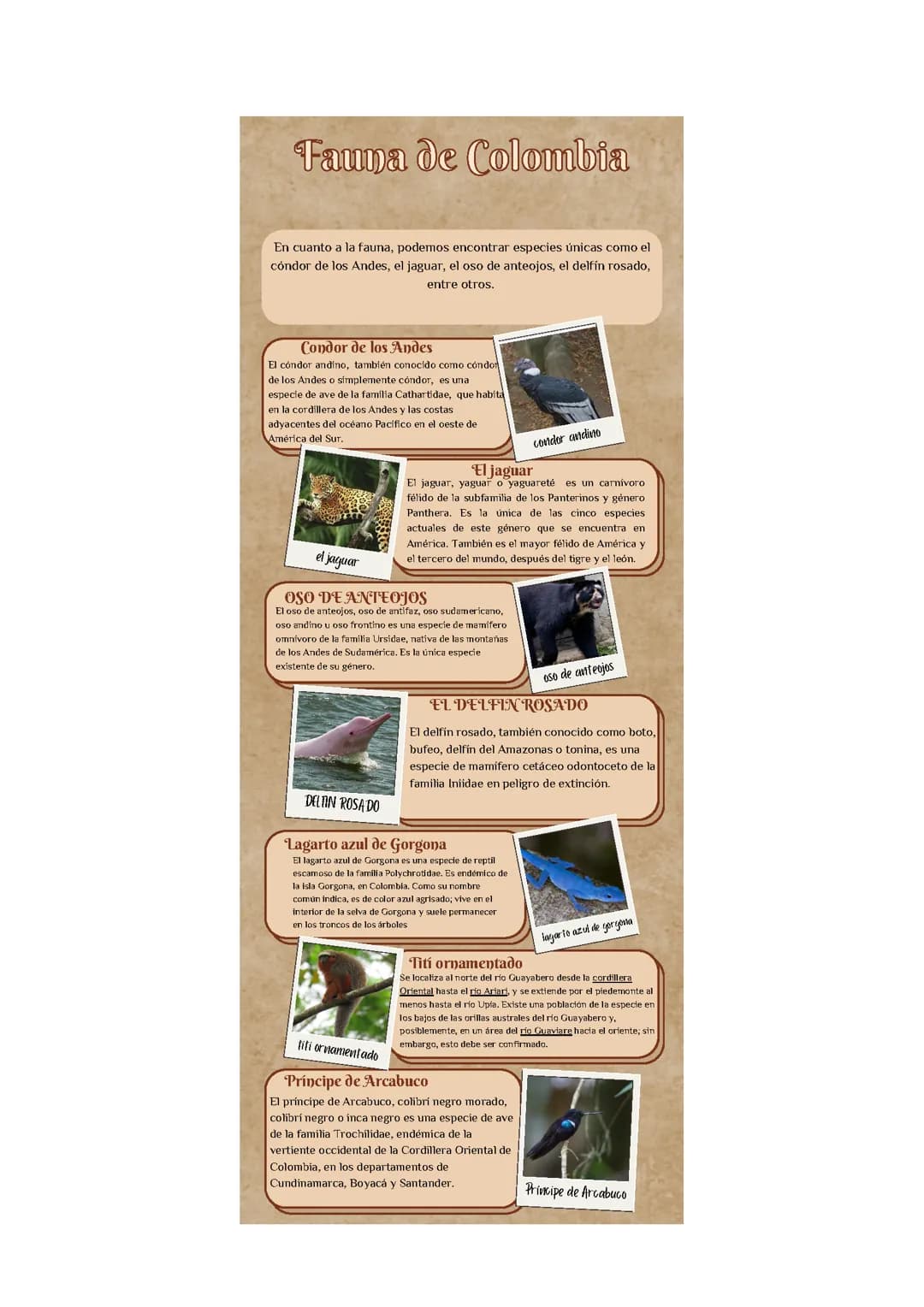 Fauna colombiana 