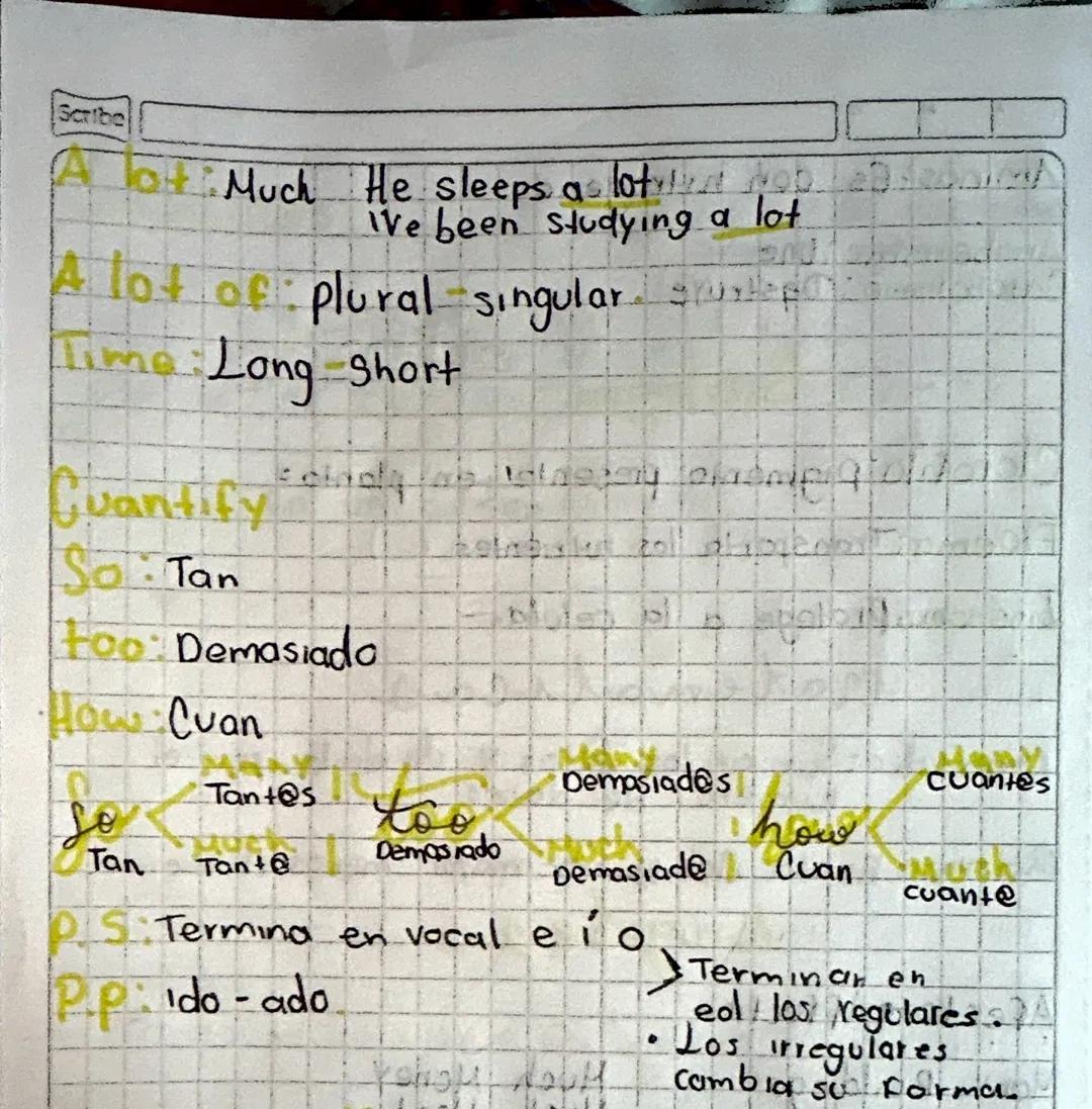 Scribe
lot Much He sleeps as lot
OD
ve been studying a lot.
A lot of plural singular swi
Time Long Short
Cuantify
So Tan
too Demasiado
How C