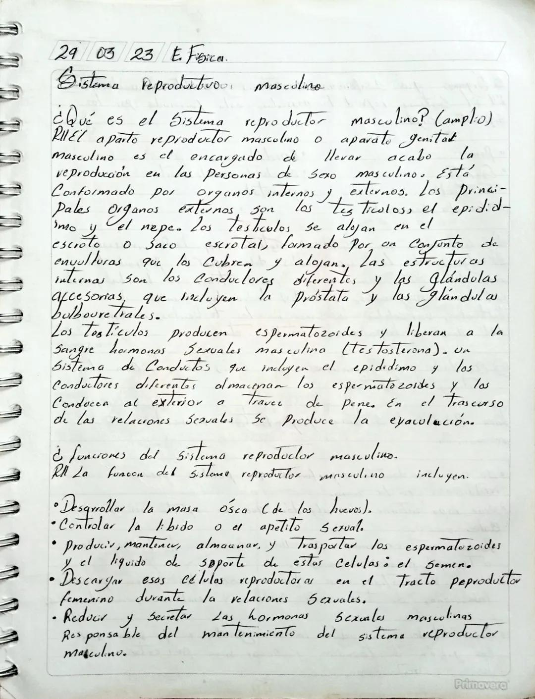 29 03 23 E. Fisica.
Sistema reproductivo, masculino

¿Qué es el Sistema reproductor masculino? (ampl:0)
0
RIVEl aparto reproductor masculino