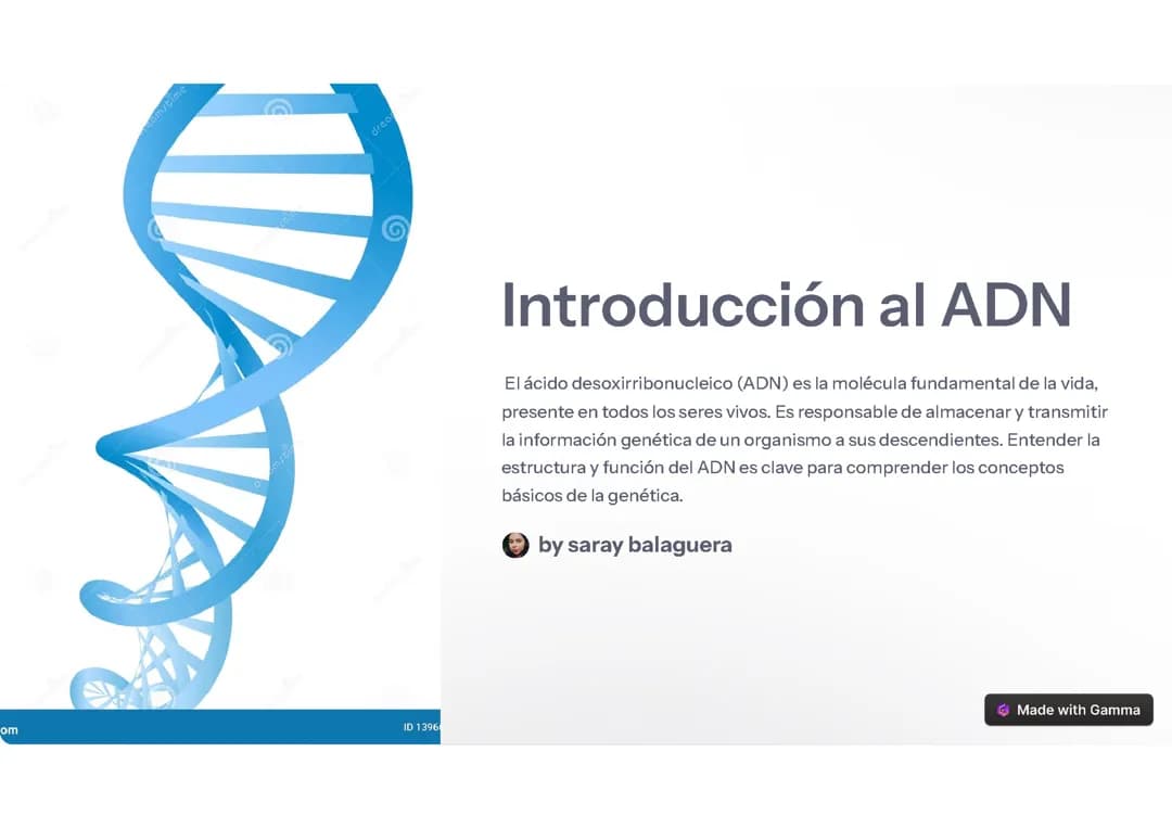 El ADN