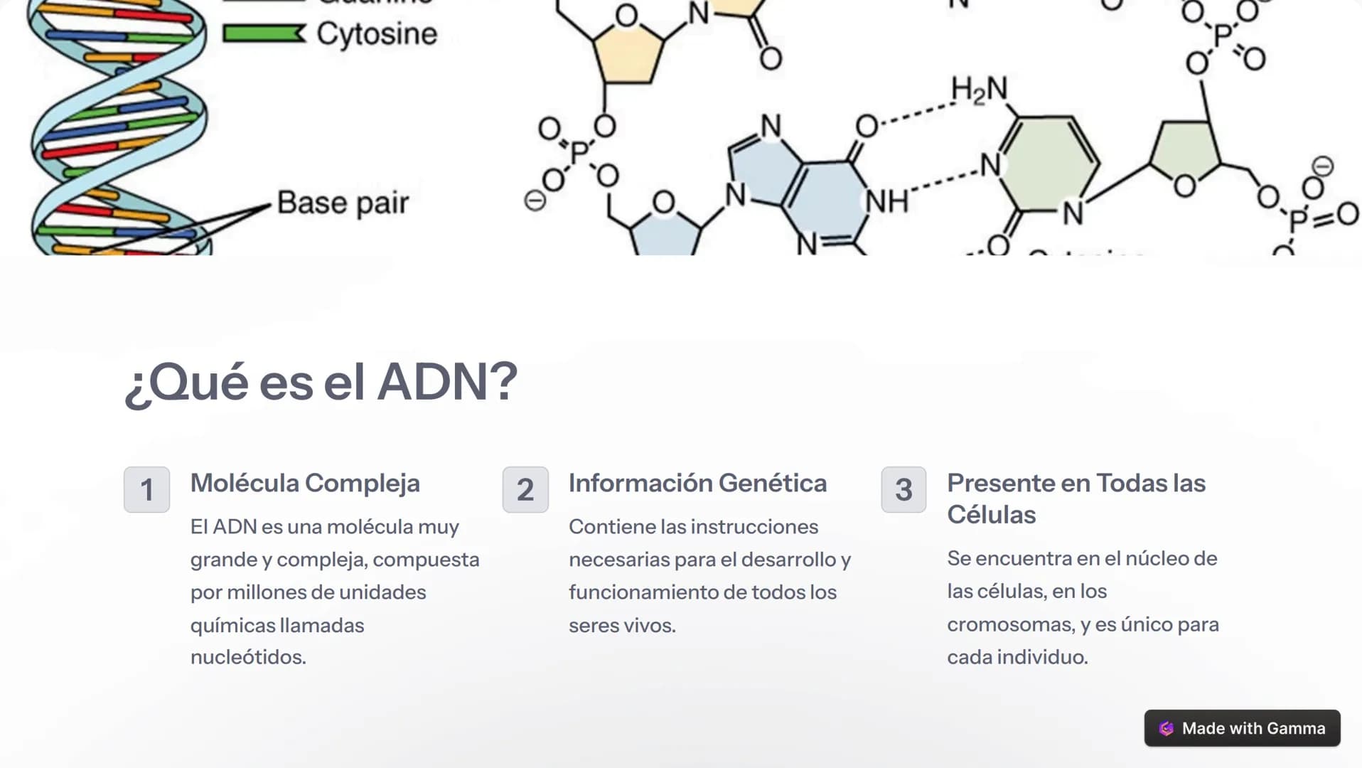 om
eamstime
damsti
ID 1396
drea
Introducción al ADN
El ácido desoxirribonucleico (ADN) es la molécula fundamental de la vida,
presente en to