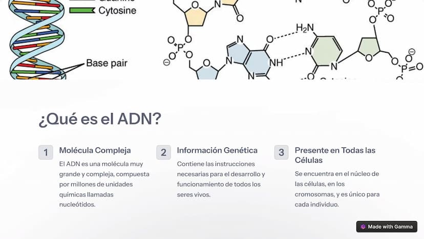 om
eamstime
damsti
ID 1396
drea
Introducción al ADN
El ácido desoxirribonucleico (ADN) es la molécula fundamental de la vida,
presente en to