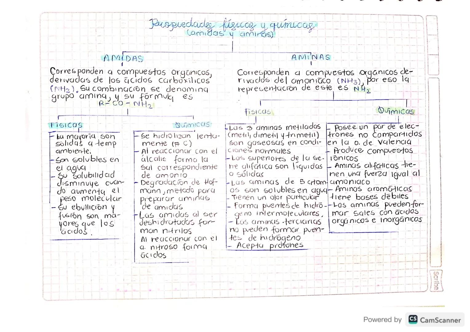 Propiedades físicas y químicas.
Camidas y aminus)
AMIDAS
Corresponden a compuestos organicos,
derivadas de los acidos carboxilicos
(NH2). Su