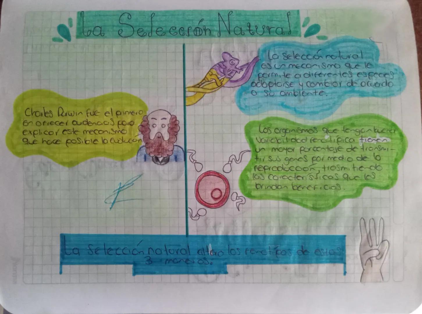 # La Selecerón Natural

Charles Darwin fue el primero
En ofrecer oudencias poro
explicor este mecanismo
que hace posible la evolución

La se