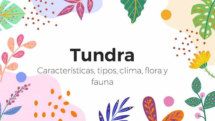 Tundra
Características, tipos, clima, flora y
fauna Características
Clima
sumamente frío
Poca
precipitación
Fuertes vientos
Suelo pobre en
n