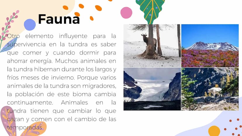 Tundra
Características, tipos, clima, flora y
fauna Características
Clima
sumamente frío
Poca
precipitación
Fuertes vientos
Suelo pobre en
n