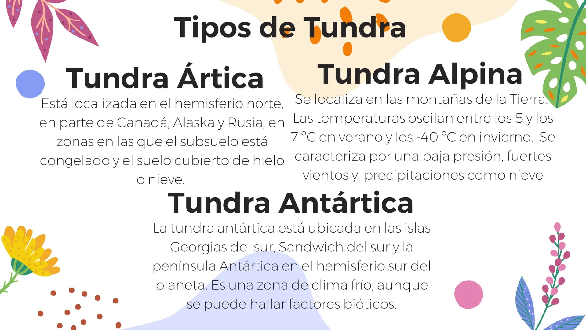 Tundra
Características, tipos, clima, flora y
fauna Características
Clima
sumamente frío
Poca
precipitación
Fuertes vientos
Suelo pobre en
n