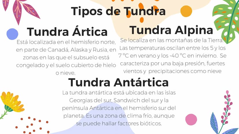 Tundra
Características, tipos, clima, flora y
fauna Características
Clima
sumamente frío
Poca
precipitación
Fuertes vientos
Suelo pobre en
n