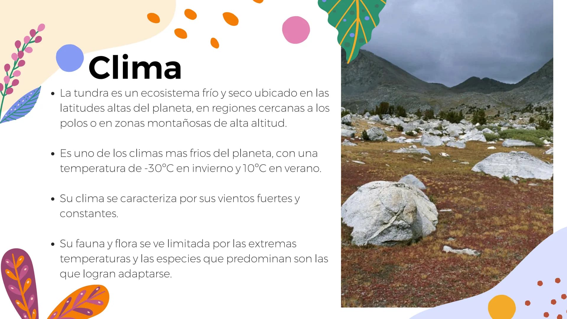 Tundra
Características, tipos, clima, flora y
fauna Características
Clima
sumamente frío
Poca
precipitación
Fuertes vientos
Suelo pobre en
n