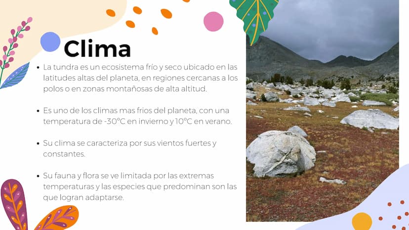 Tundra
Características, tipos, clima, flora y
fauna Características
Clima
sumamente frío
Poca
precipitación
Fuertes vientos
Suelo pobre en
n