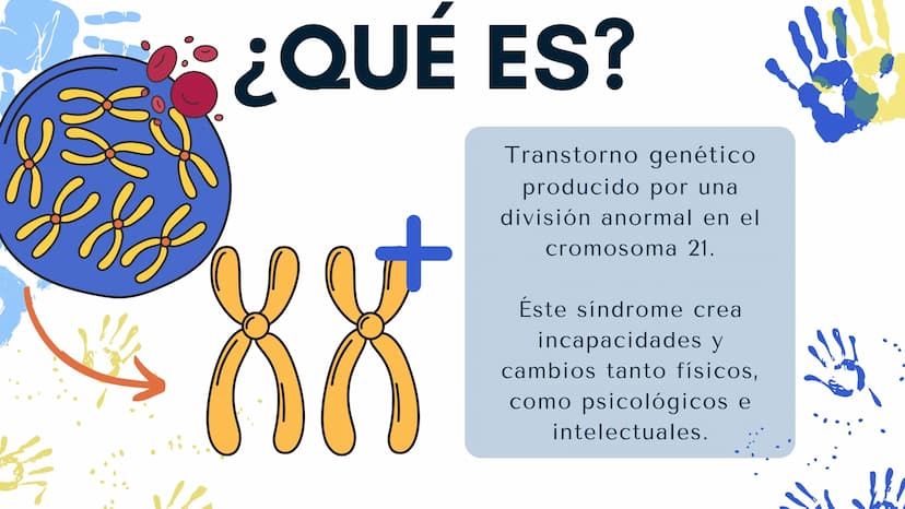 HABLEMOS DE EL
SÍNDROME DE
DOWN ¿QUÉ ES?
88
Transtorno genético
producido por una
división anormal en el
cromosoma 21.
Éste síndrome crea
in