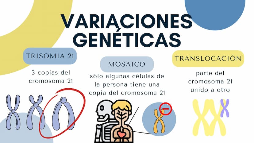 HABLEMOS DE EL
SÍNDROME DE
DOWN ¿QUÉ ES?
88
Transtorno genético
producido por una
división anormal en el
cromosoma 21.
Éste síndrome crea
in