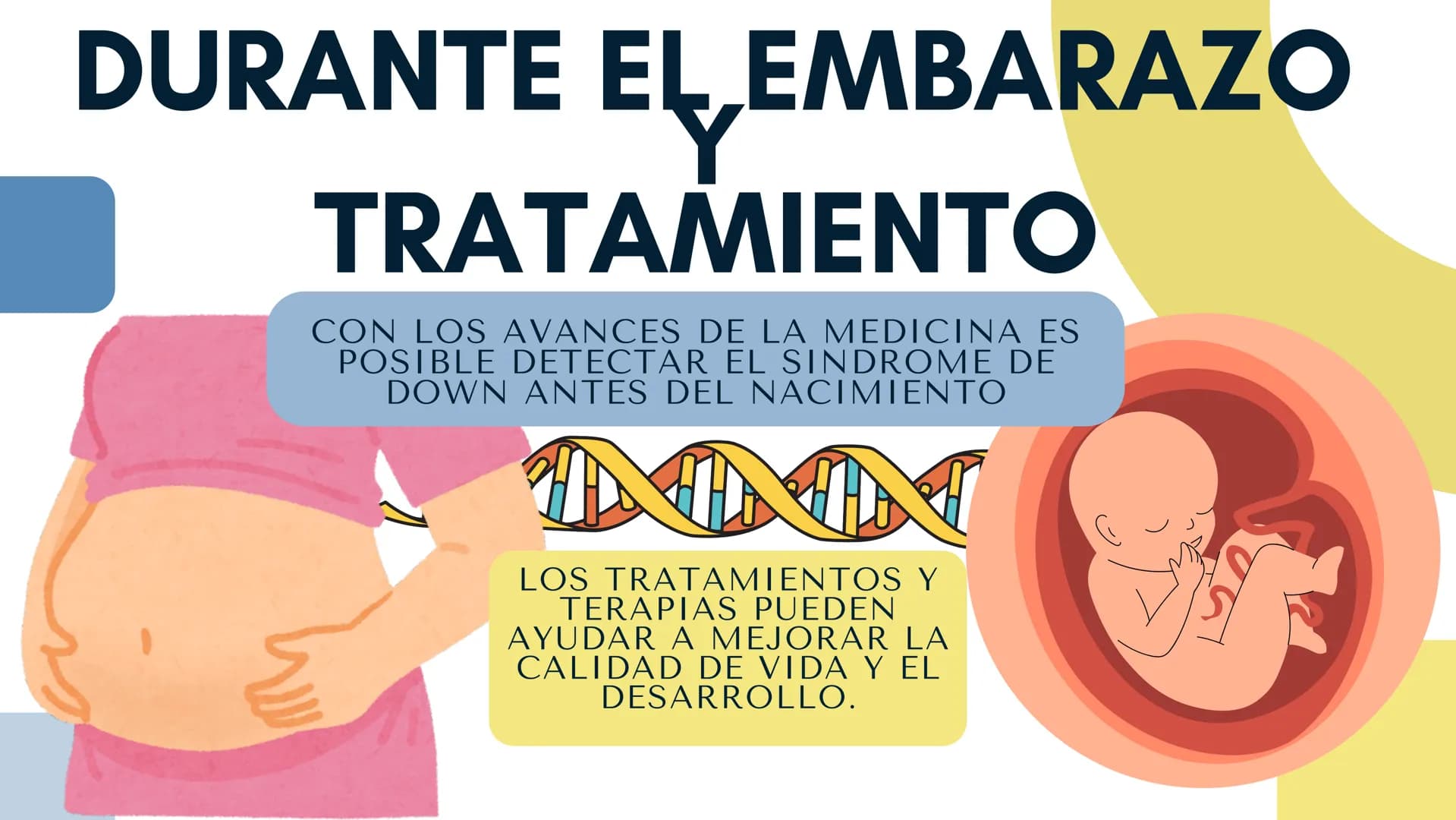 HABLEMOS DE EL
SÍNDROME DE
DOWN ¿QUÉ ES?
88
Transtorno genético
producido por una
división anormal en el
cromosoma 21.
Éste síndrome crea
in