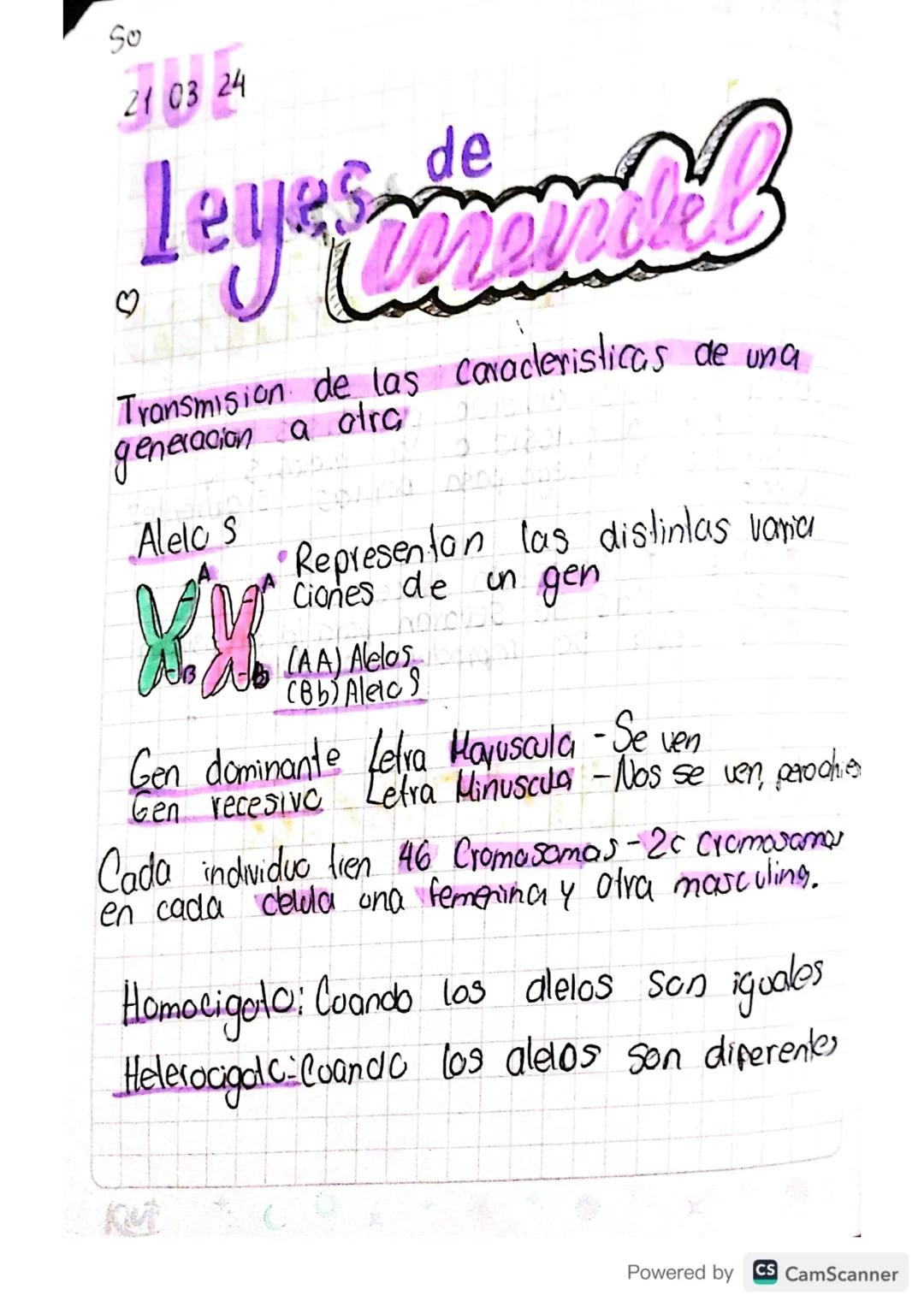 So
21 03 24
Leyes de mall
mende
Transmision de las caracteristicas de una
generacion a atra
Alelo s
дрод
•Representan las distintas varia
Ci