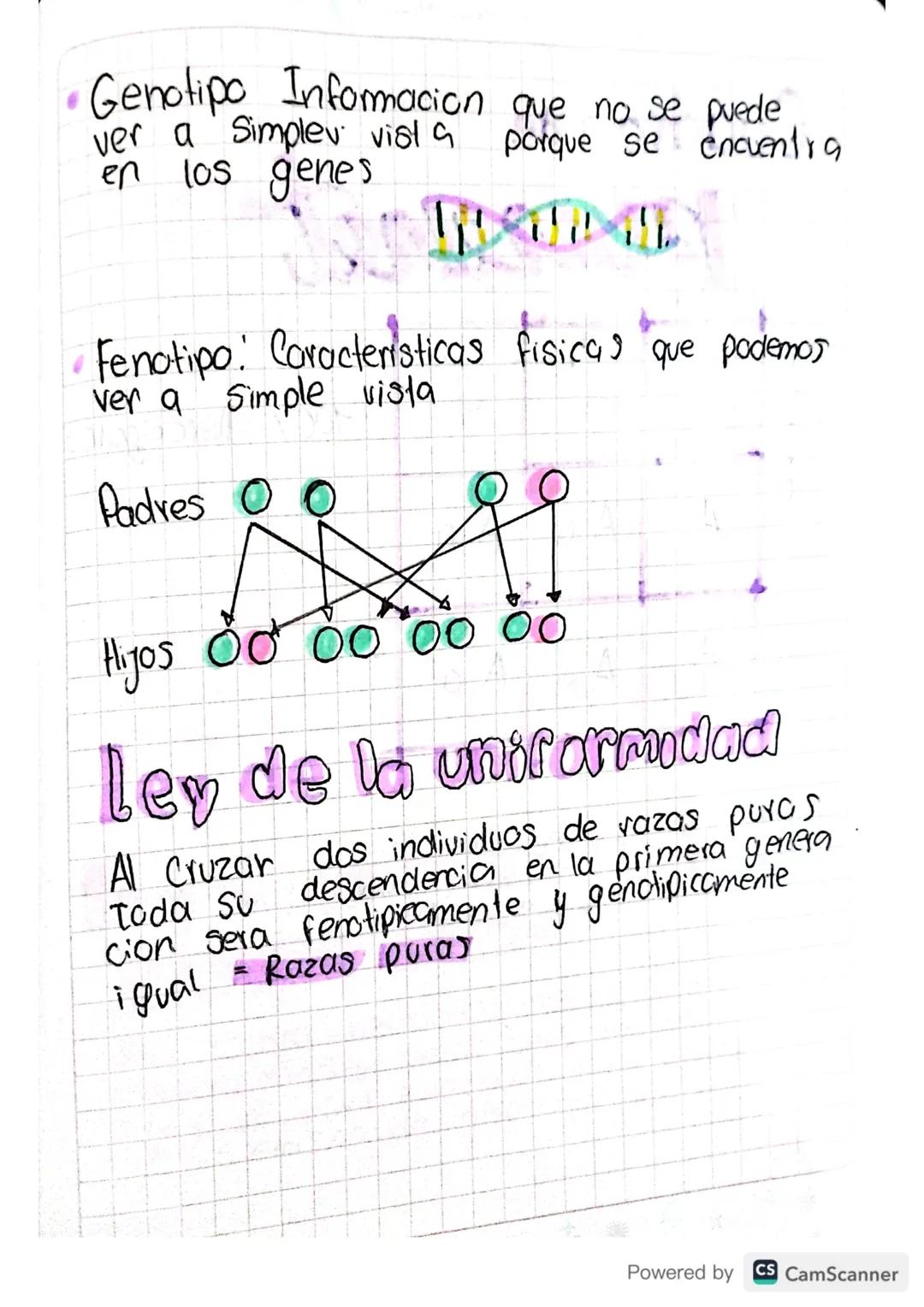So
21 03 24
Leyes de mall
mende
Transmision de las caracteristicas de una
generacion a atra
Alelo s
дрод
•Representan las distintas varia
Ci